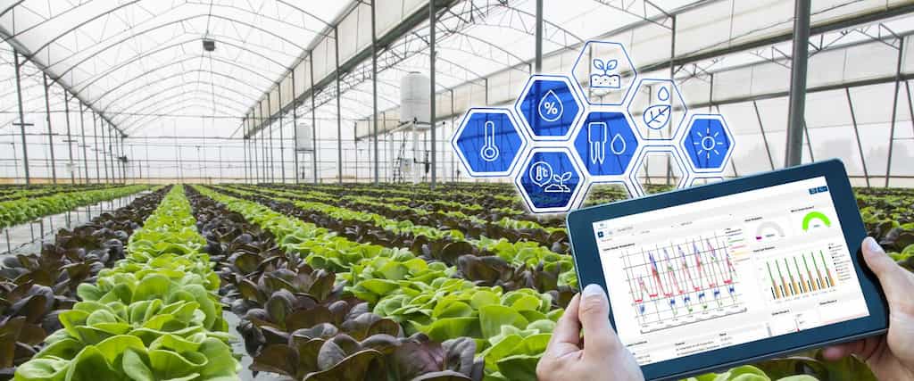 soil Monitoring